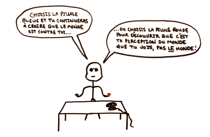 choix_monde_vs_perception