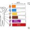 Les 6 étages du Process Com Model