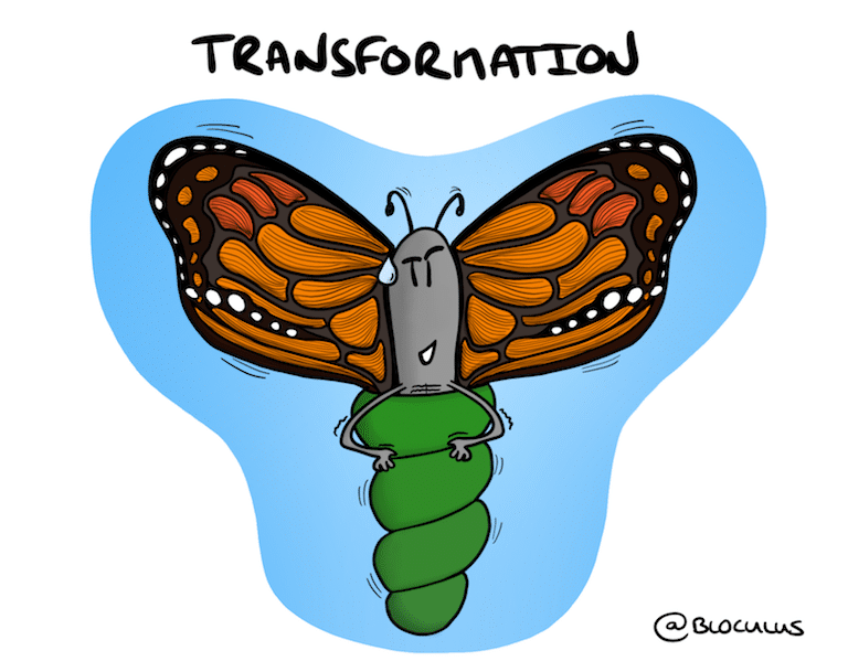 #Coaching : Chemin d'une Transformation