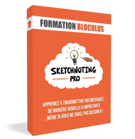 Formez-vous à la #FacilitationGraphique avec Bloculus